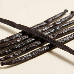 Bourbon Vanilleschoten 5 Stück (1 Set je 5 Stück) 18cm+ Premium Bio